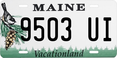 ME license plate 9503UI