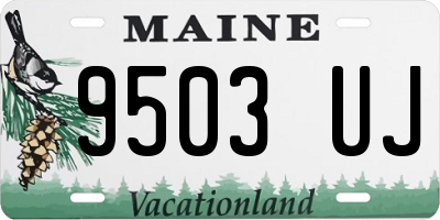 ME license plate 9503UJ