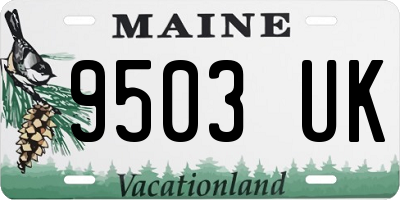 ME license plate 9503UK