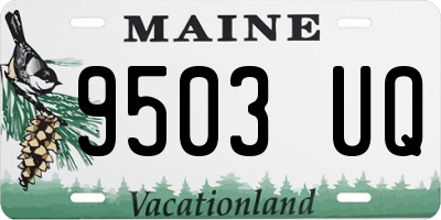 ME license plate 9503UQ