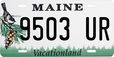 ME license plate 9503UR