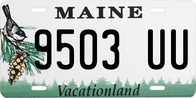 ME license plate 9503UU