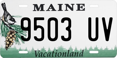 ME license plate 9503UV