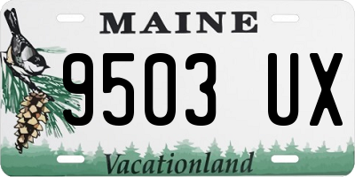 ME license plate 9503UX