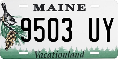 ME license plate 9503UY