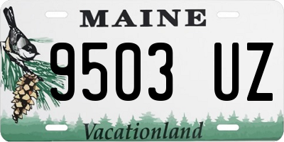 ME license plate 9503UZ
