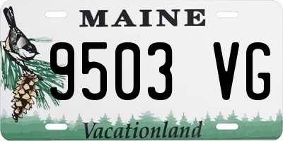 ME license plate 9503VG