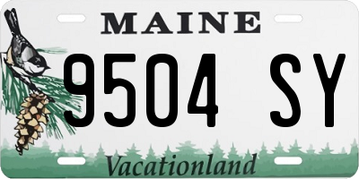 ME license plate 9504SY