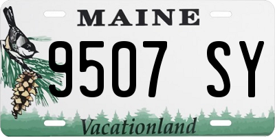 ME license plate 9507SY