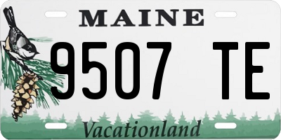 ME license plate 9507TE