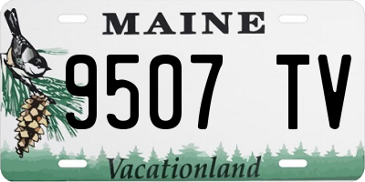 ME license plate 9507TV