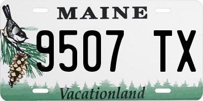 ME license plate 9507TX