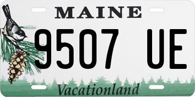 ME license plate 9507UE