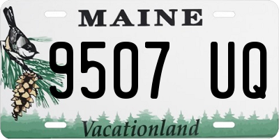 ME license plate 9507UQ