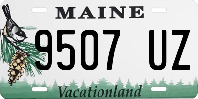 ME license plate 9507UZ