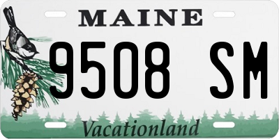 ME license plate 9508SM