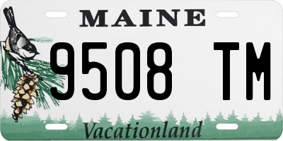 ME license plate 9508TM