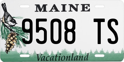 ME license plate 9508TS
