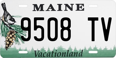 ME license plate 9508TV
