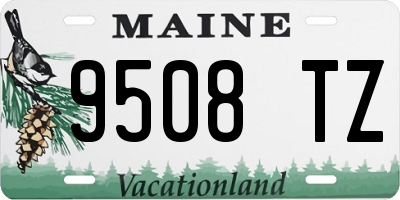 ME license plate 9508TZ