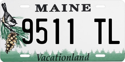 ME license plate 9511TL