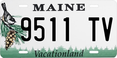 ME license plate 9511TV