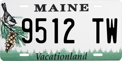 ME license plate 9512TW