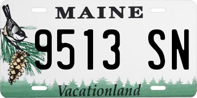 ME license plate 9513SN