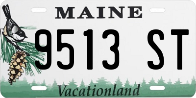 ME license plate 9513ST