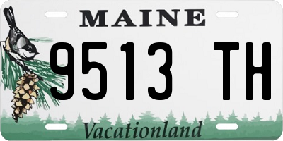 ME license plate 9513TH