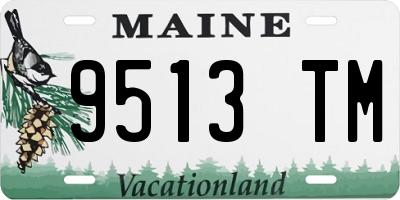 ME license plate 9513TM
