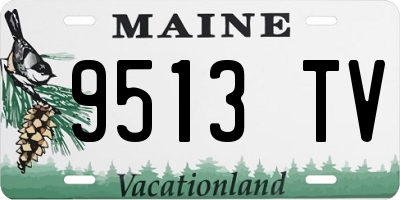 ME license plate 9513TV