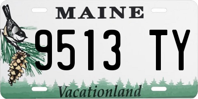 ME license plate 9513TY