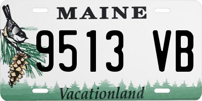 ME license plate 9513VB