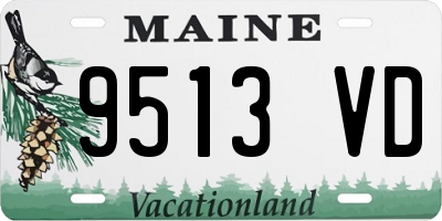 ME license plate 9513VD