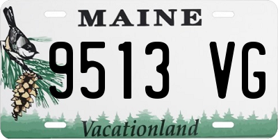 ME license plate 9513VG