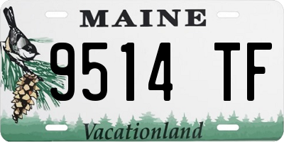 ME license plate 9514TF
