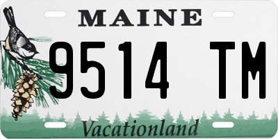 ME license plate 9514TM