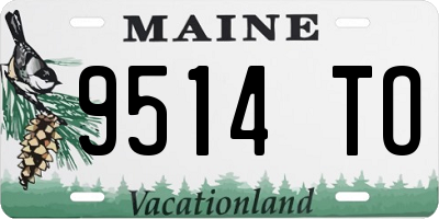 ME license plate 9514TO