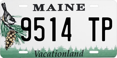 ME license plate 9514TP
