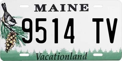 ME license plate 9514TV