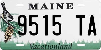 ME license plate 9515TA
