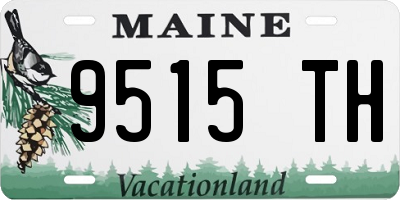 ME license plate 9515TH