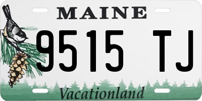 ME license plate 9515TJ