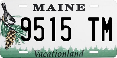 ME license plate 9515TM
