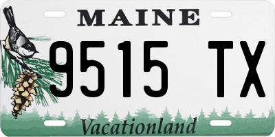 ME license plate 9515TX