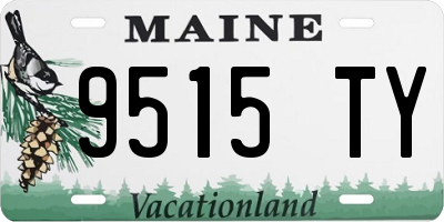 ME license plate 9515TY