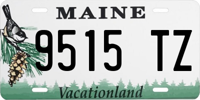 ME license plate 9515TZ
