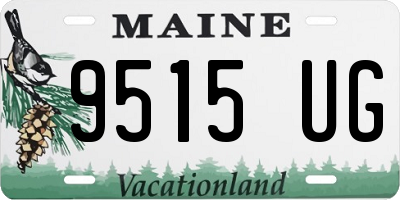 ME license plate 9515UG