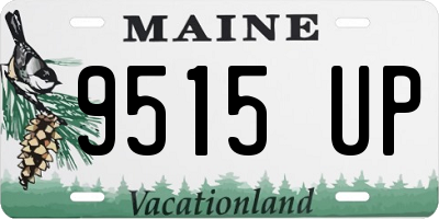 ME license plate 9515UP